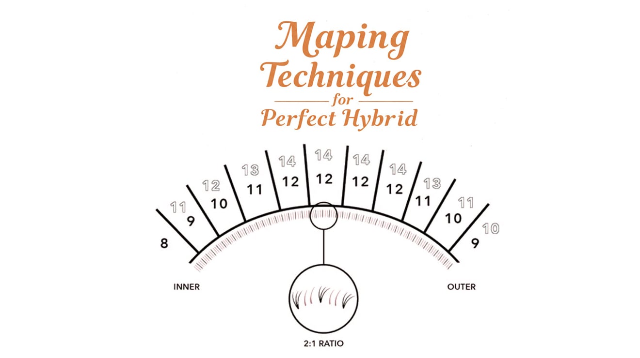 Mapping Techniques for Perfect Hybrid
