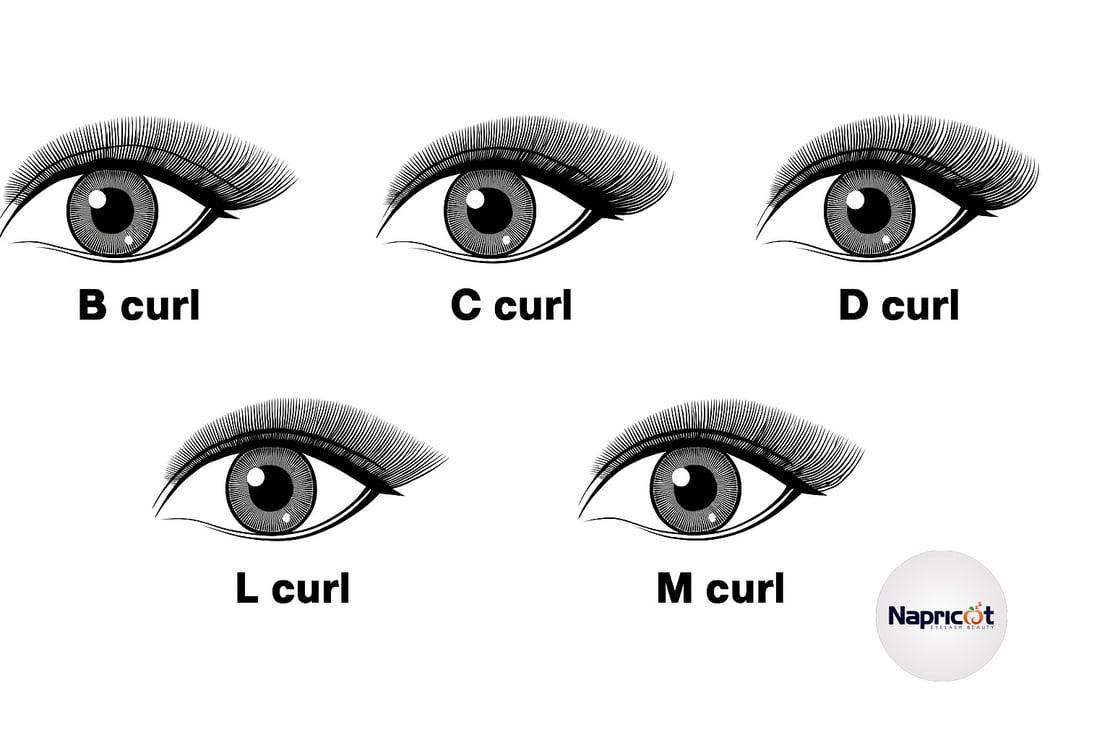 Lash extension curls types