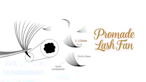 Promade Lash Fans: The Ultimate Beginner’s Tutorial