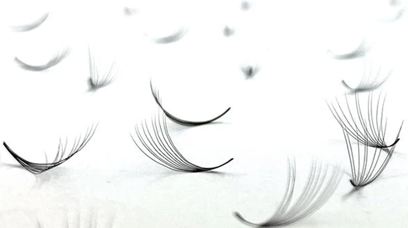 Comparison of heat-bonded and glue-bonded lash fan bases