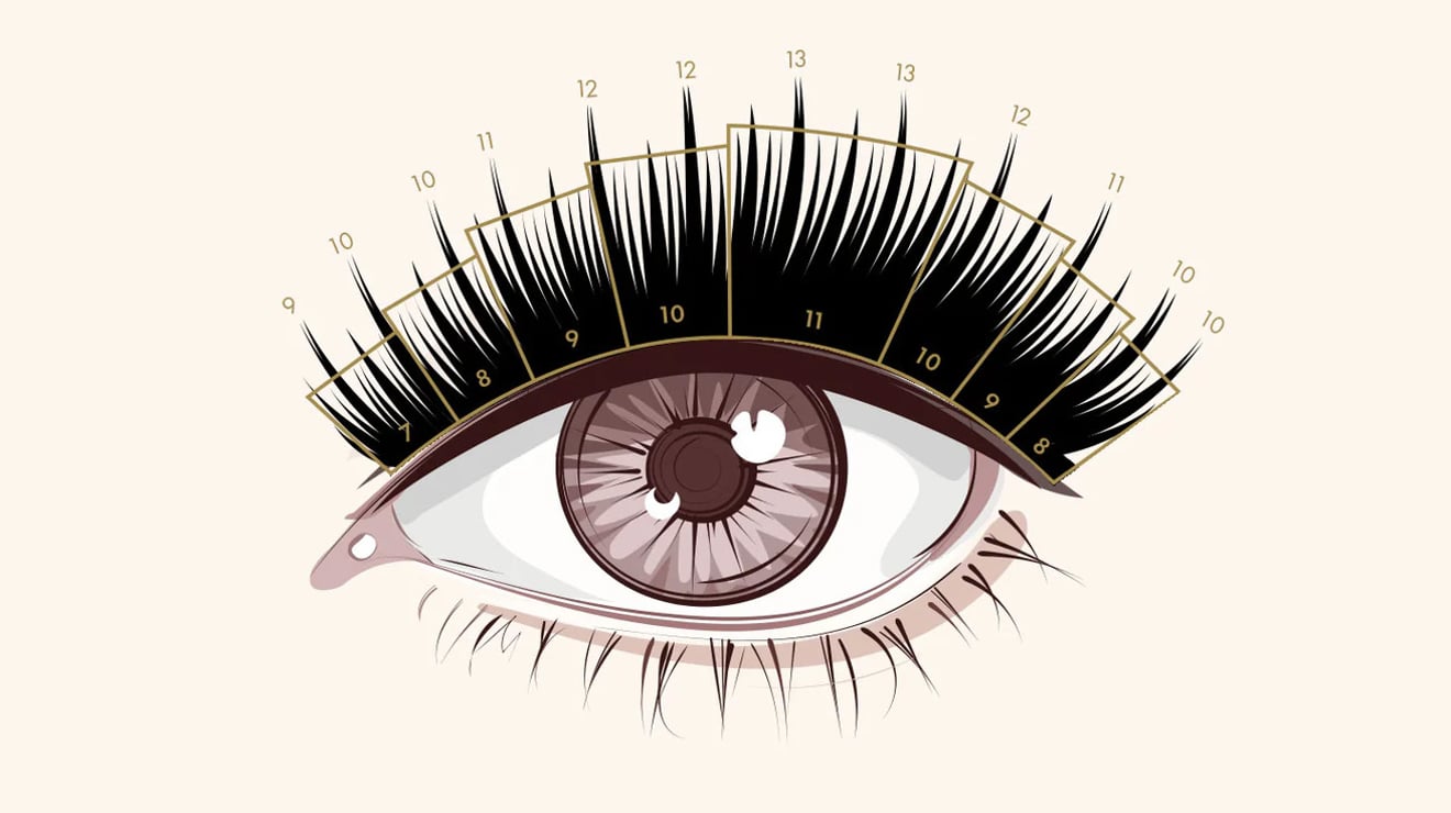 Basic lash mapping diagram showing curl types and lash zones